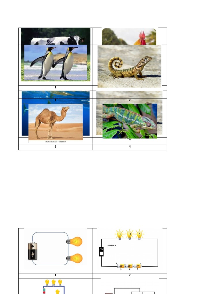 Gambar Ipa | PDF