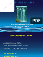 Homeostasis Del Agua