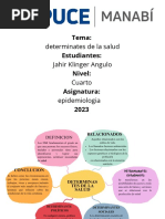 Mapa Conceptual Determinante de La Salud