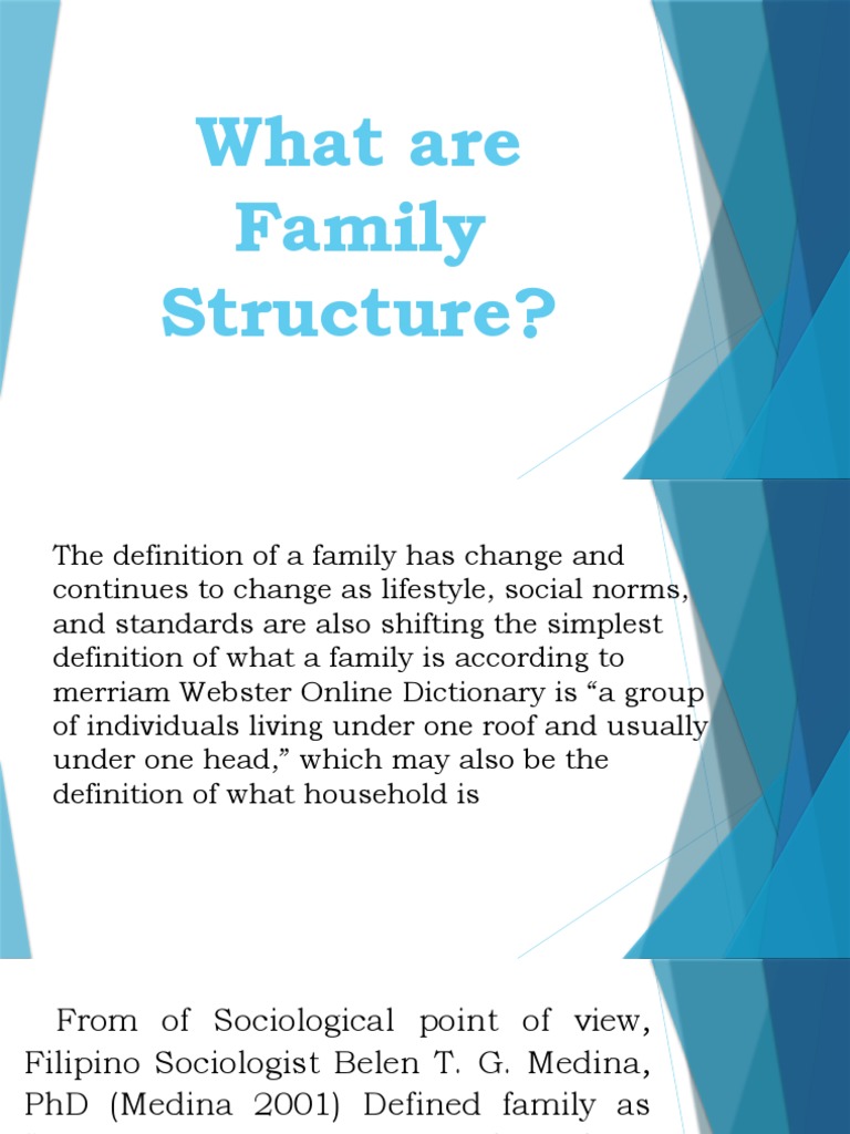 Report in Per Dev Corrected | PDF | Parenting | Family