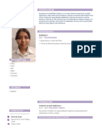 Plantilla Curriculum Vitae 2