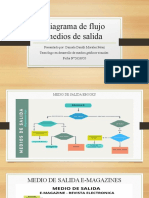 Diagrama de Flujo Medios de Salida