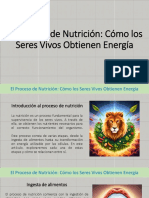 El Proceso de Nutrición Cómo Los Seres Vivos Obtienen Energía