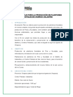 Plan de Trabajo para La Producción de Plantones Forestales Temporales