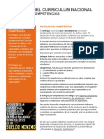 Boletin Curriculum010 Enfoque - Competencias