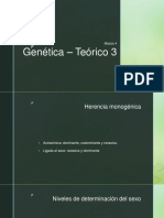 Genética - Teórico 3