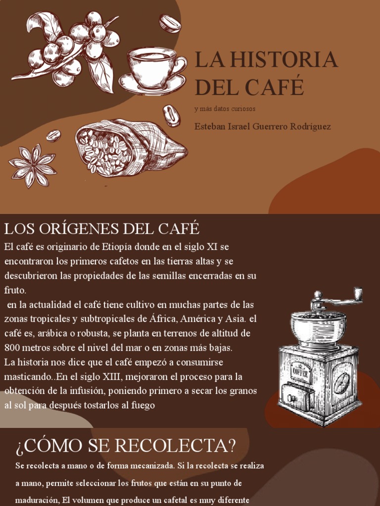 La Historia Del Café PDF café Agricultura