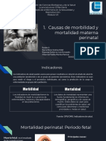 Causas de Morbilidad y Mortalidad Materna Perinatal