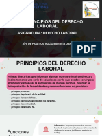 Principios Del Derecho Laboral