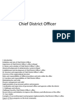 Chief District Officer