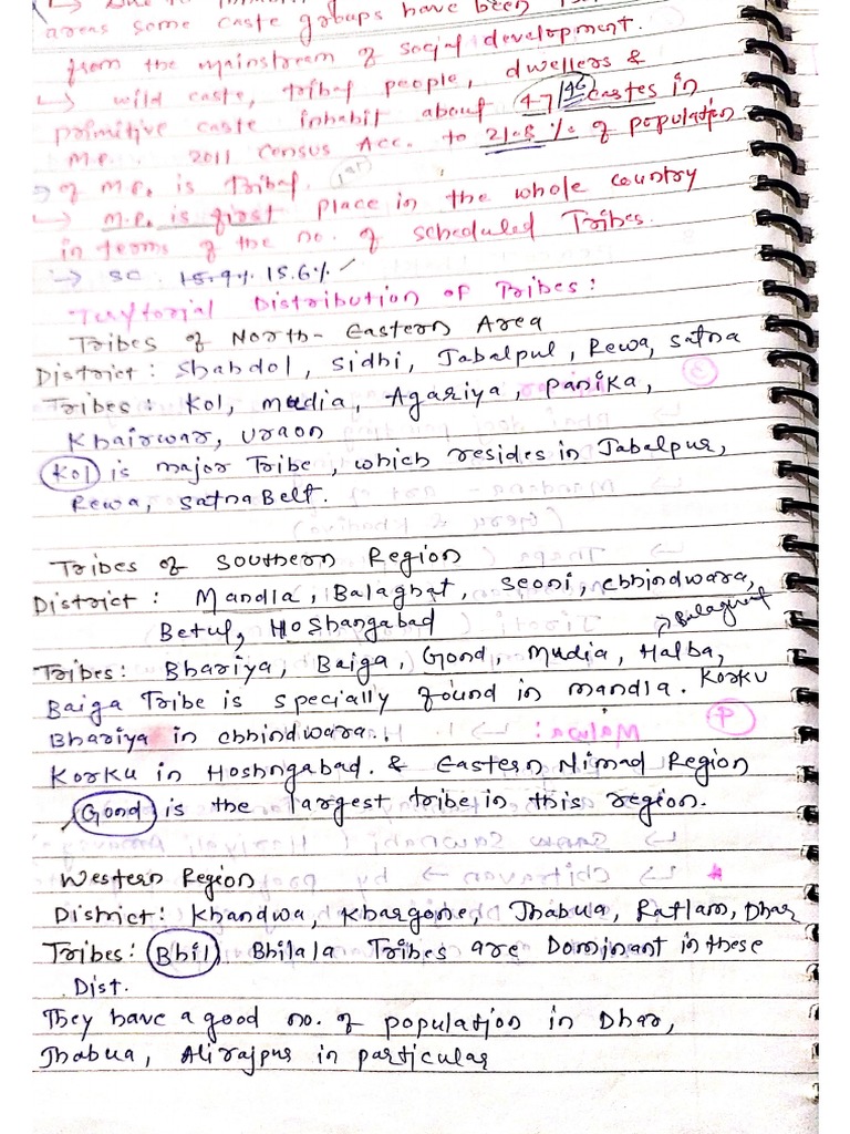 Indian Geography | PDF