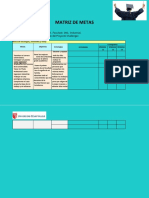 MATRIZ DE METAS DF