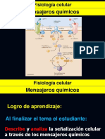 1-7 PPT Mensajeros Quimicos 2023 I