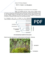 TP 2. Bryophytes Ptéridophytes 