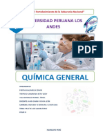 Quimica Practica 15 y 16-Edwin Porta