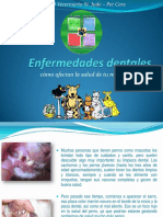 Enfermedades-Dentales Del Perro