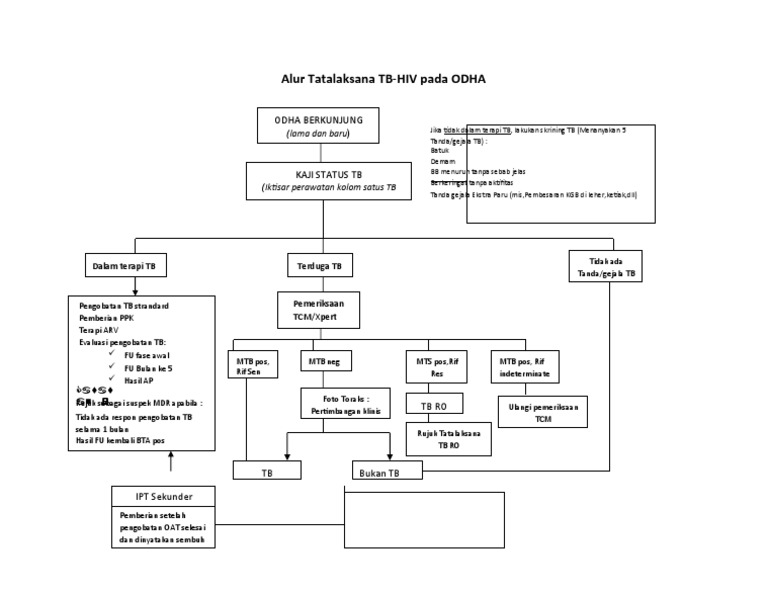 Alur-Tatalaksana TB | PDF