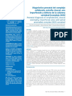 Vista de Diagnóstico Prenatal Del Complejo Onfalocele - Extrofia Cloacal - Ano Imperforado y Defecto de La Columna Vertebral (Complejo OEIS)