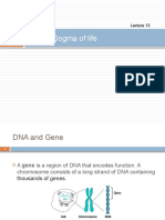 The Central Dogma of Life