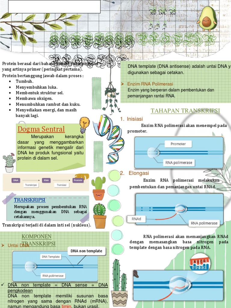 Sintesis Protein | PDF