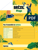 Französisch Praktikum Brasilien 