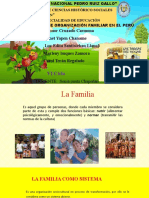 Forma de Organizacion de Familias en El Peru