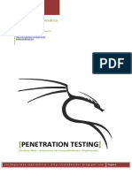 Seguridad Informatica Penetration Testin