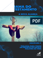 Teologia - Panorama Do Novo Testamento PDF