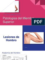 Patología Miembro Superior