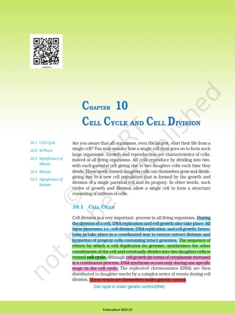 Cell Cycle and Division Overview | PDF | Meiosis | Mitosis