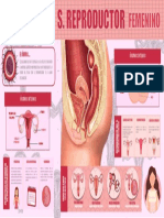 Infografía Sistema Reproductor Femenino