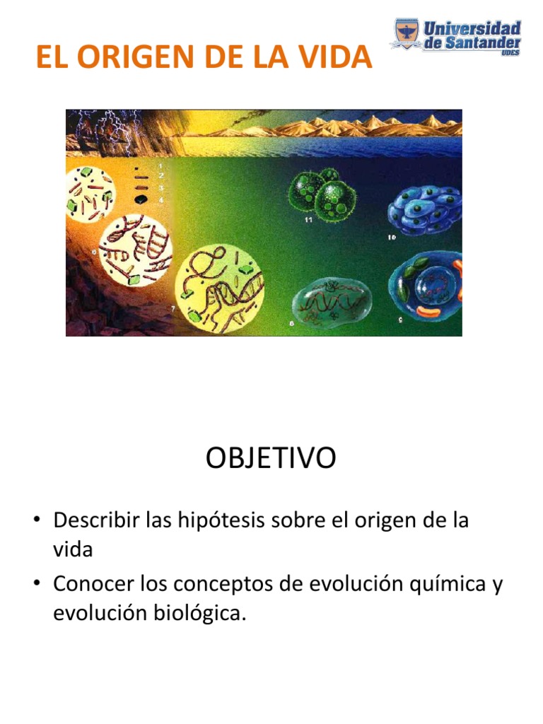 El Origen de La Vida | PDF | Eucariotas | Rna