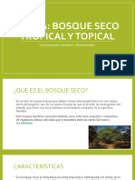 Bioma: Bosque Seco Tropical Y Topical: Presentado Por: Christian A. Almeida Robles