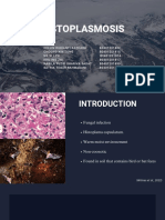 PBL - Group 1 - Histoplasmosis