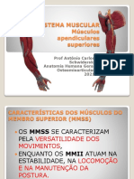 Sist. Muscular Musculos Apendiculares Superiores 2021-1