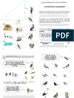 Cuaderno de Campo Fauna y Ecosistemas