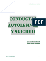 PAPs - Conductas Autolesivas y Suicidio