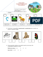 5 Evaluare Finala CLR