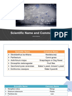 Scientific Names and Common Names