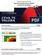 Matriz de Identificación de Peligro y Evaluacion de Riesgos