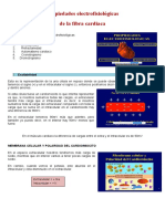 Propiedades Electrofisiológicas de La Fibra Cardiaca