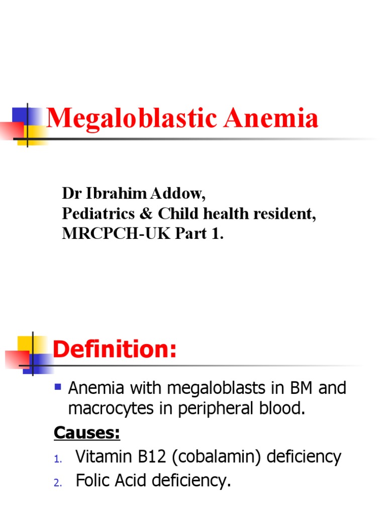 Megaloblastic Anemia PDF Vitamin B12 Anemia