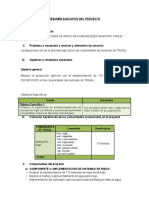 Resumen Ejecutivo (FDI)