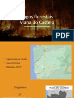 Fogos Florestais Viana Do Castelo