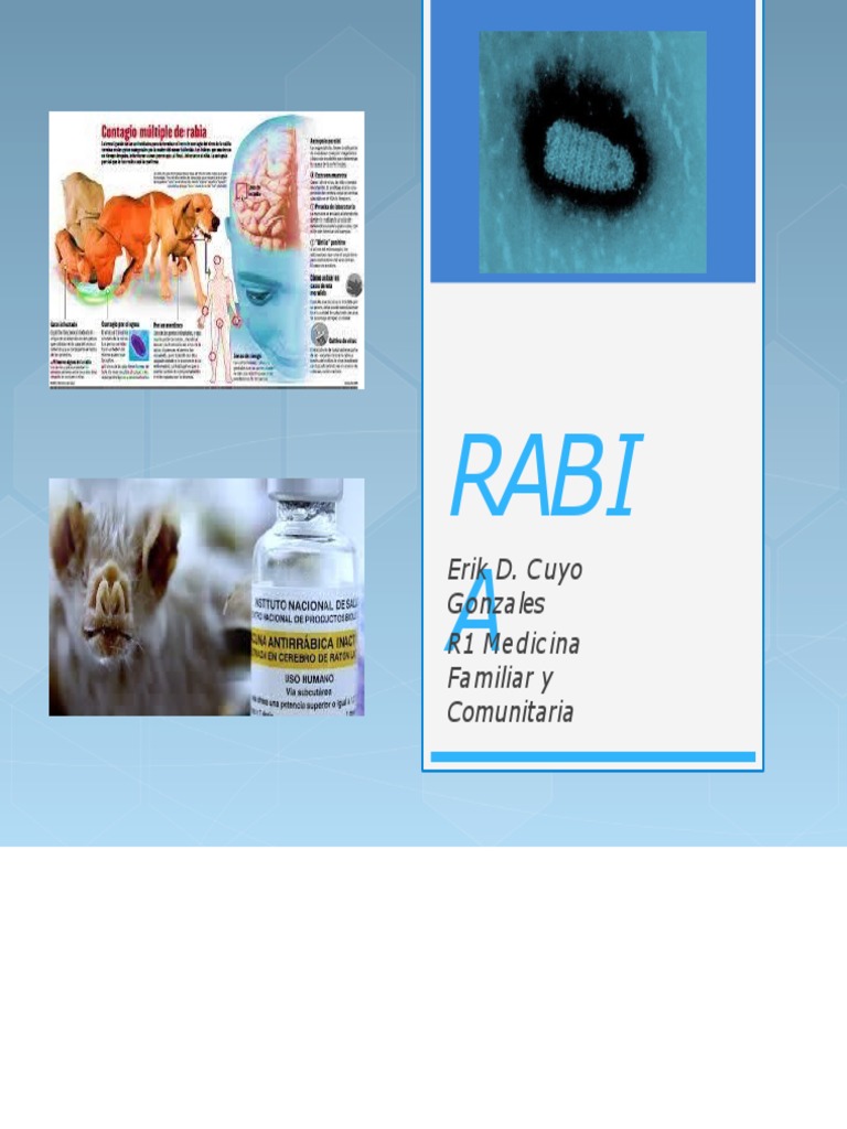 Generalidades sobre la rabia en humanos | PDF | Rabia | Medicina