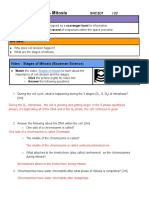 2.5 Hyperdoc - Cell Division - Mitosis