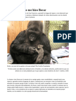 Sobre Gran Simio (La Gorila Koko y Muchos Más Primates)