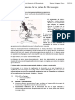 Reconocimiento de Las Partes Del Microscopio