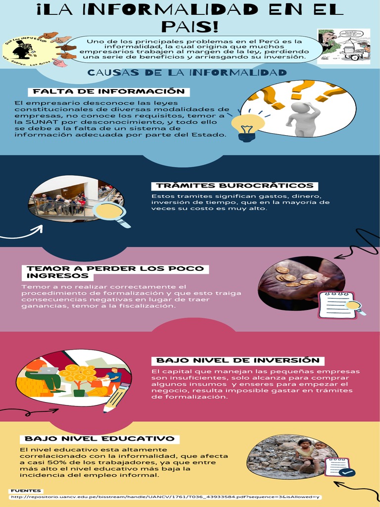 Causas y Consecuencias de la Informalidad en Perú | PDF