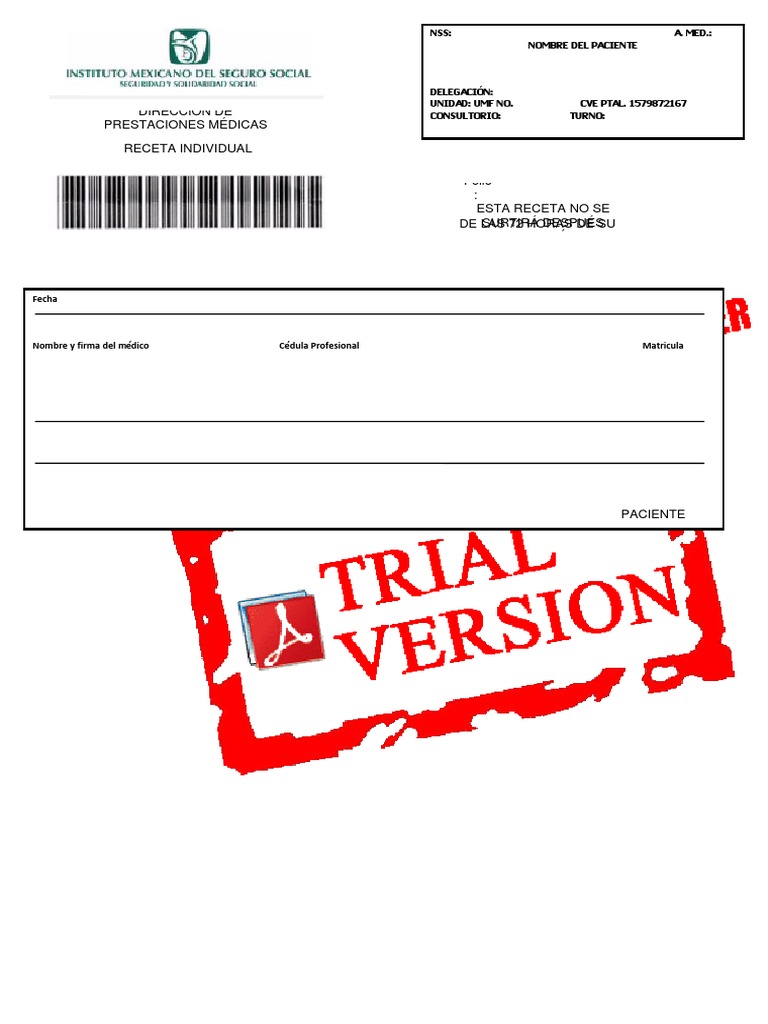 Plantilla Imss | PDF